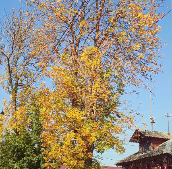 Гуляем до соседней деревни