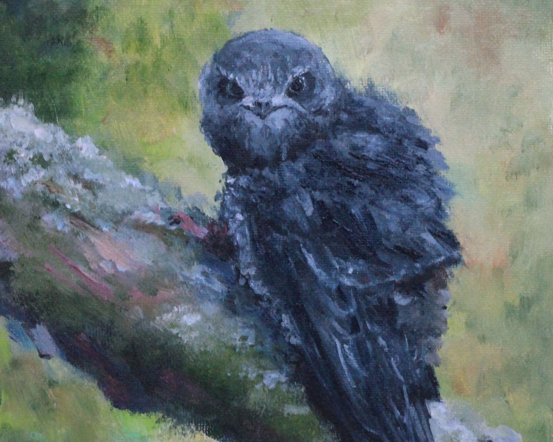 Как появился "Стриж"